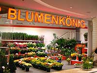 Mira München Nordheide - Blumen König Blumenstrauß, Blumenkränze, Pflanzen Foto: Martin Schmitz